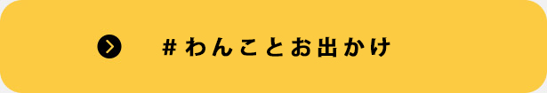 ＃わんことお出かけ