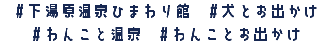 ♯ひまわり館 ♯ペットの温泉