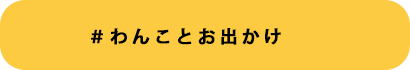 ＃わんことお出かけ